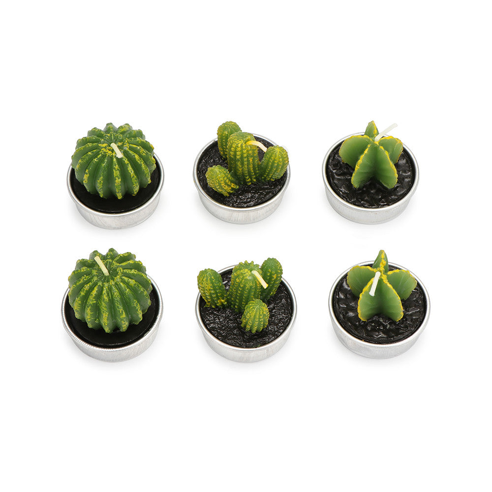 Cactus Candles Simulation