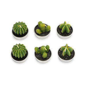 Cactus Candles Simulation
